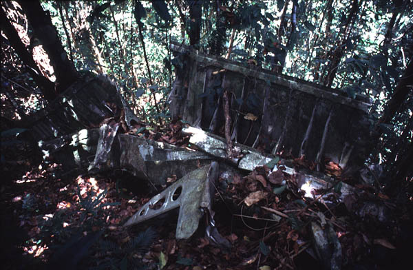 Bomb Bay Door? Part of a Wing?