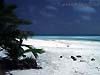 Cocosbeachtn