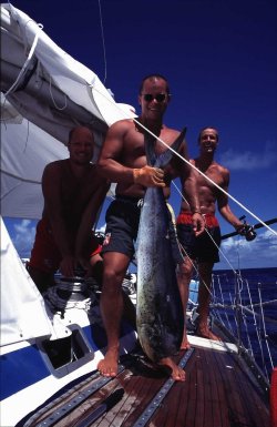 Mahi Mahi