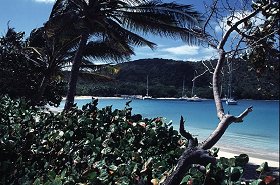 Mayreau