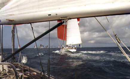 La Reverende