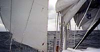 forwardview