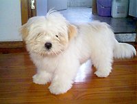 Lucy