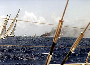 Mariposa Sinking