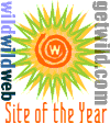 WWW Site of the Year: Extreme Sports