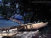 Vanuatu Dugout Canoe 148k
