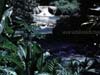 Vanuatu Falls 141k